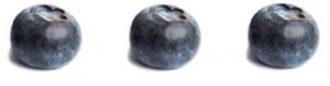 blåbär - med nyttiga polyfenoler