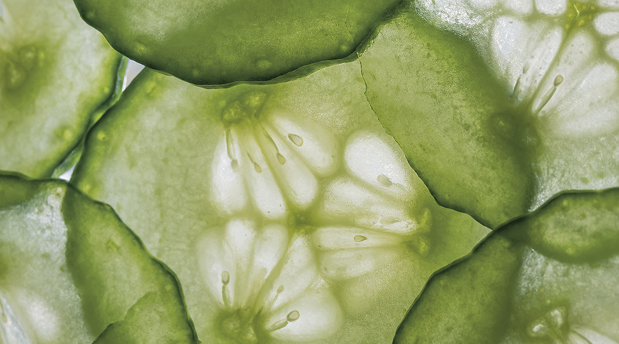 Gurkskivor - gurka kan lindra artros
