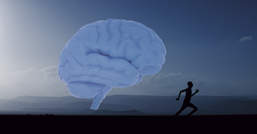 Motion ger friskare hjärna.