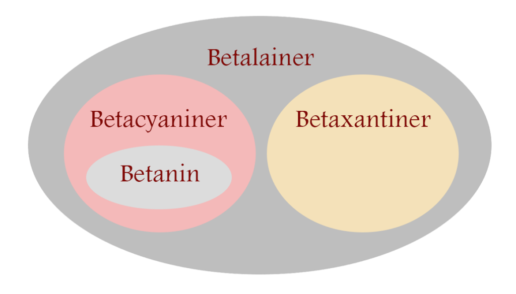 Rödbetans färgämnen kallas betalainer som delas in in betacyaniner och betaxantiner. Den främsta betacyaninen är betanin.